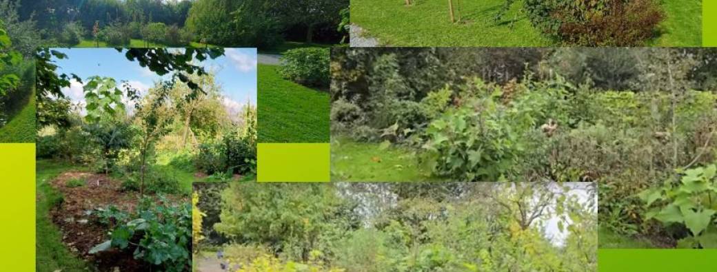 VISITE – Jardin-forêt – Natures-Libres ASBL