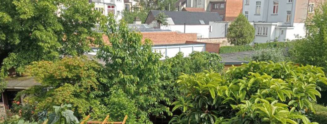VISITE - Jardin-forêt -Onatkim
