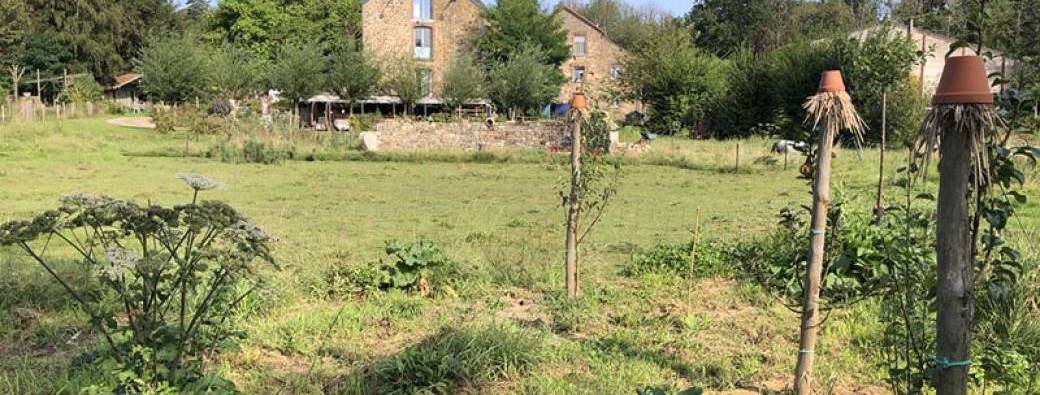 VISITE – Jardin-forêt – Voedselbos forêt nourricière AYO