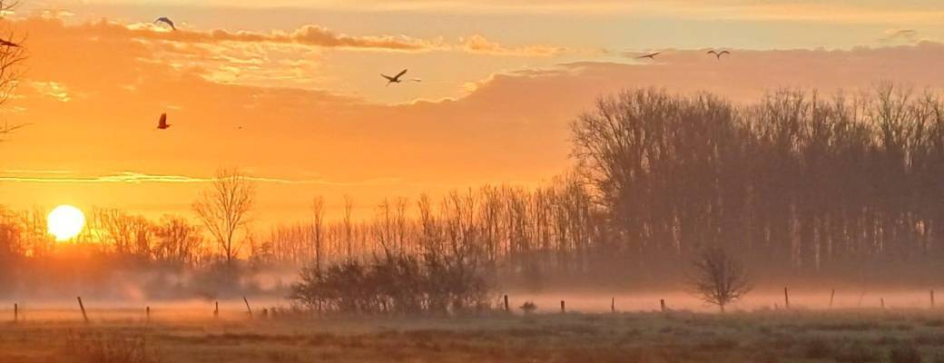 Visite "L'automne aux marais d’Harchies" 