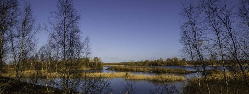 Visite "Les marais d’Harchies, d’hier à aujourd’hui " 