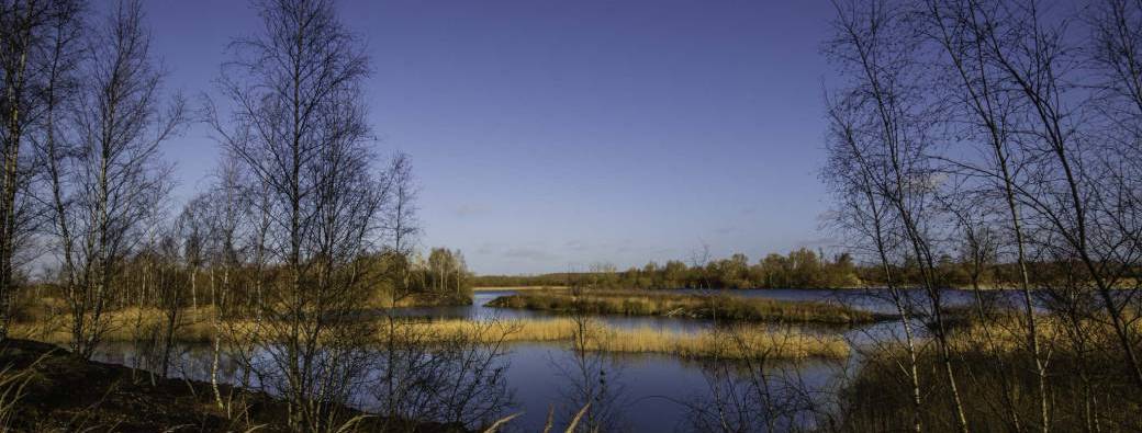 Visite "Les marais d’Harchies, d’hier à aujourd’hui " 