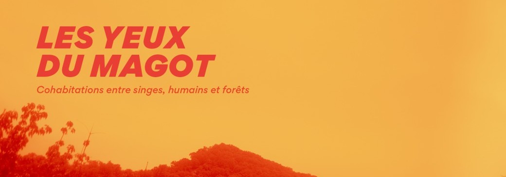 Visite culturelle étudiant.es et personnels / DIAPASON : EXPOSITION LES YEUX DU MAGOT