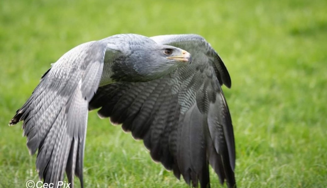 Visite libre