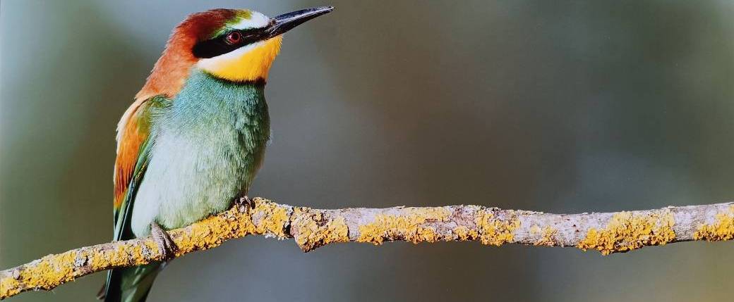Visite ludique en famille En jeux nature