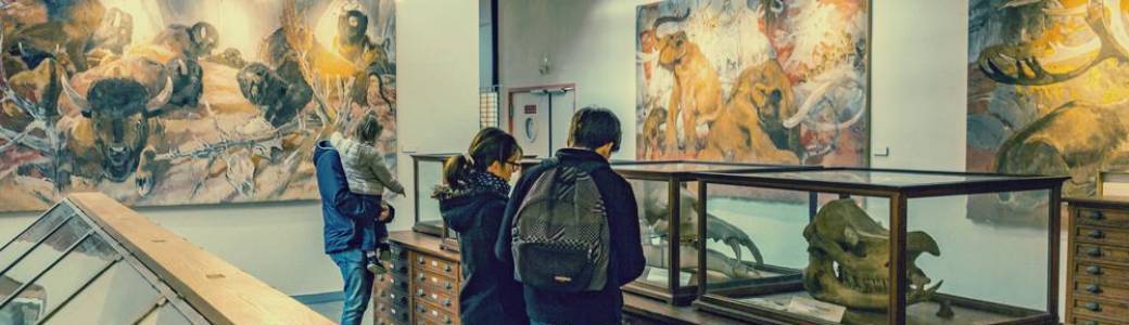 Visite musée de géologie
