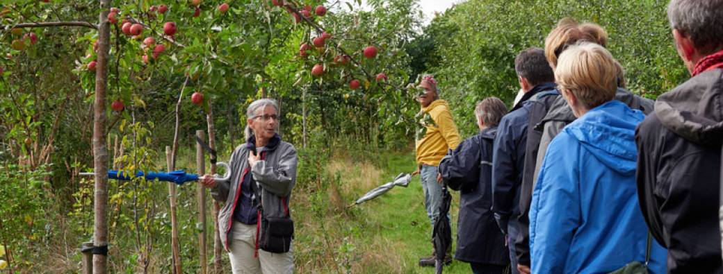 VISITE NL - Jardin-forêt - 't Loonse Voedselbos