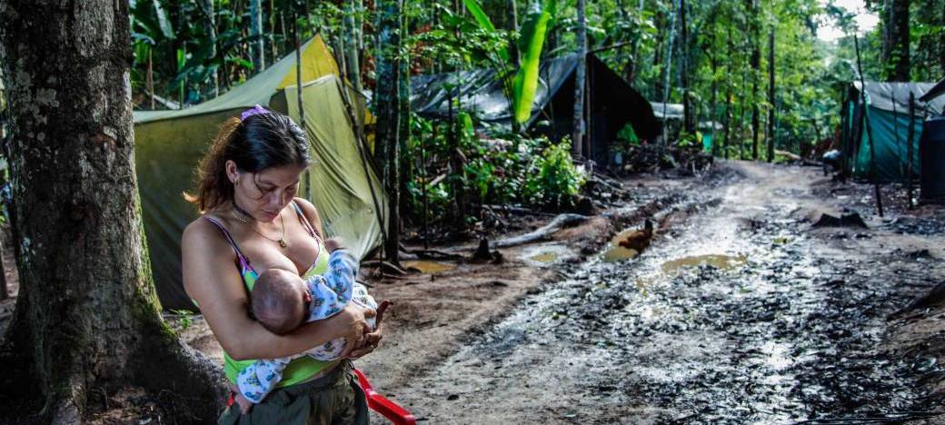 Visite virtuelle commentée - Colombie : (Re)naître