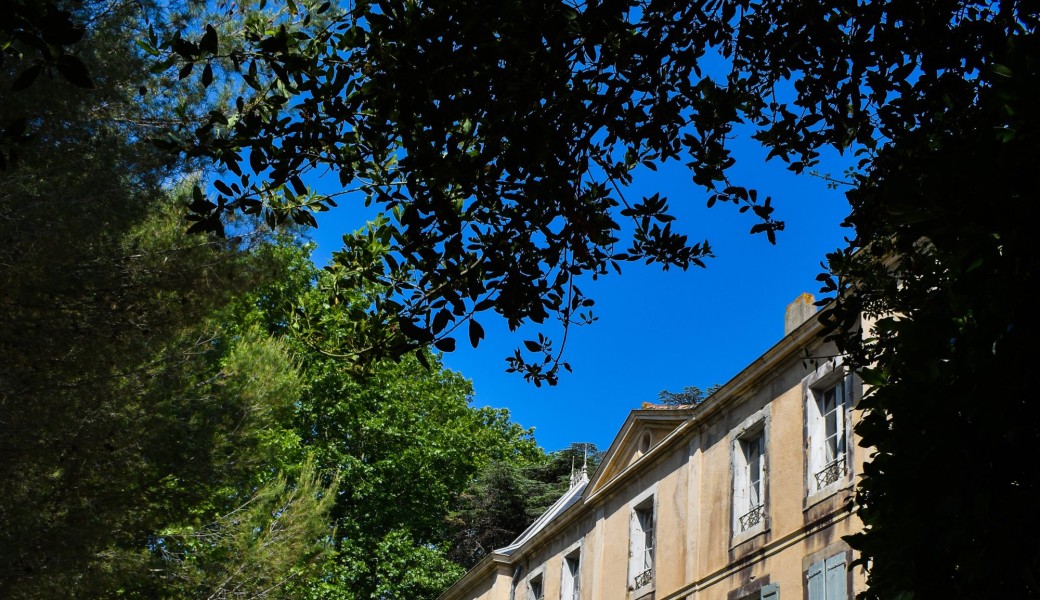 Visite Rendez-vous aux jardins