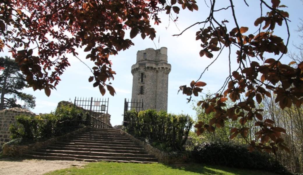 Visite de la Tour de Montlhéry et de la  ville