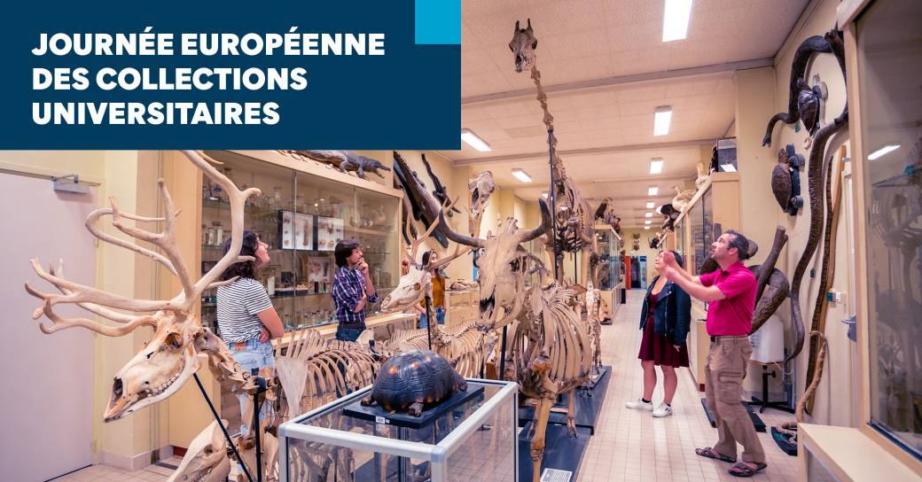 La nuit européenne des musées 
