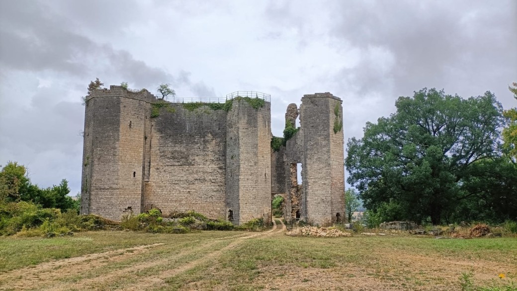 Visites guidées des ruines du château de Rochefort