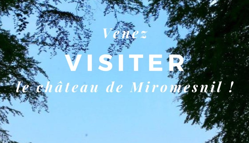 Visites Guidées Miromesnil