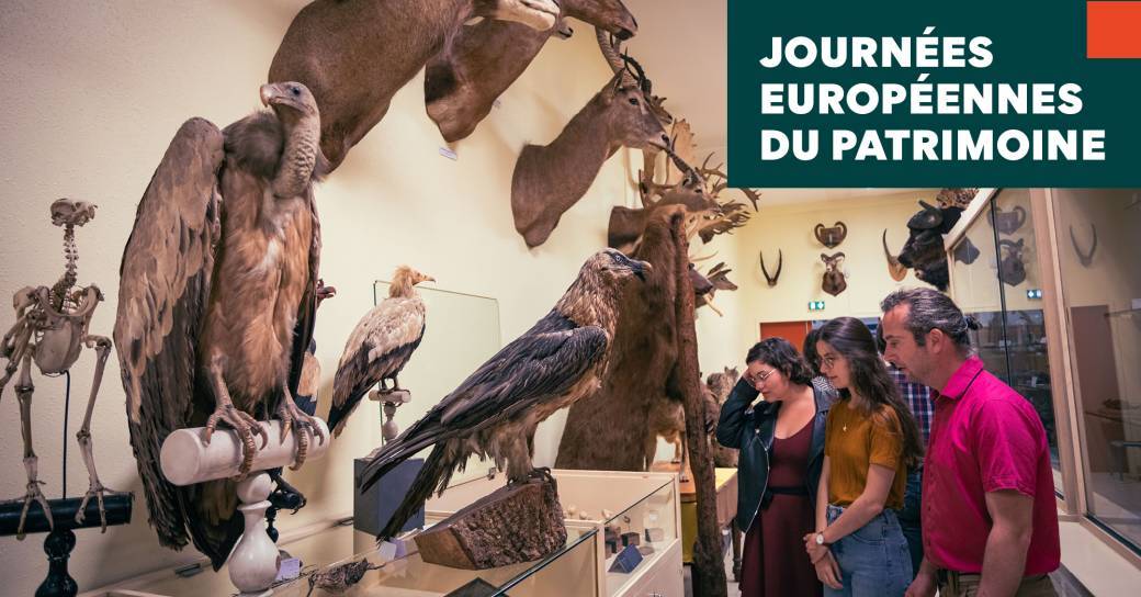 Visites "Journée du Patrimoine" 2024