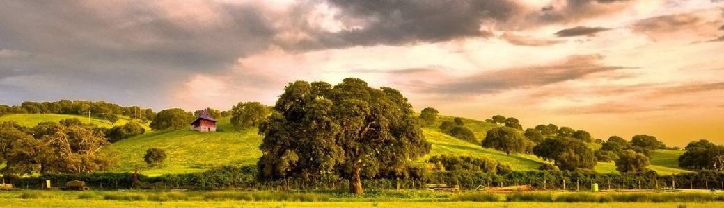 Επισκόπηση της πλατφόρμας παιχνιδιών vistabet