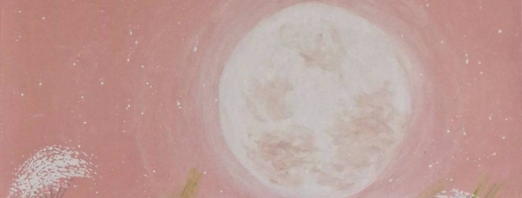 Vivre au rythme de la Lune : Les 8 phases du cycle lunaire 