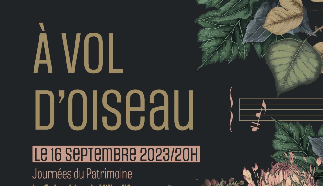 À vol d'oiseau 