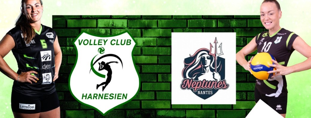 VOLLEY BALL elite NANTES