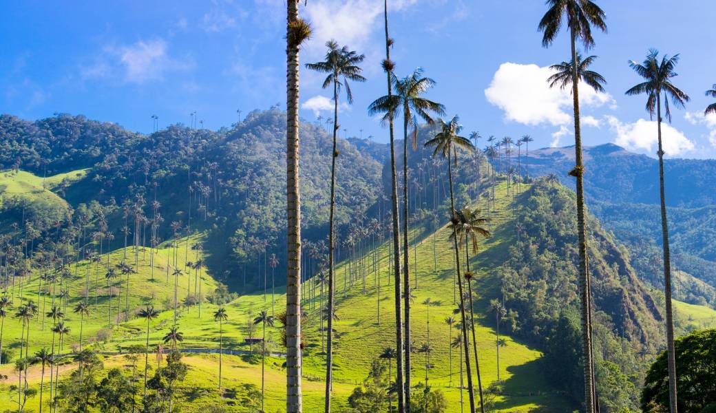 Voyage de rêve en Colombie - Bogota, Medellin & Vallée Cocora