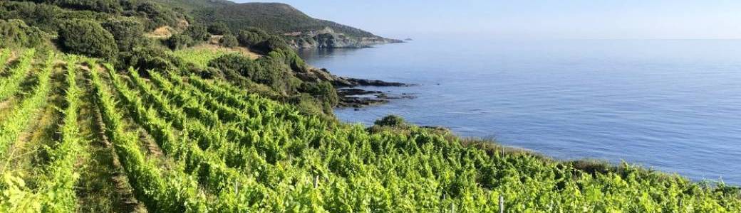 Dégustation de mets et vins corses