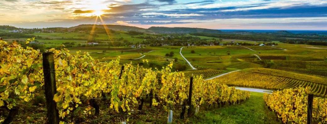 Voyage en Savoie, Jura, Alsace...
