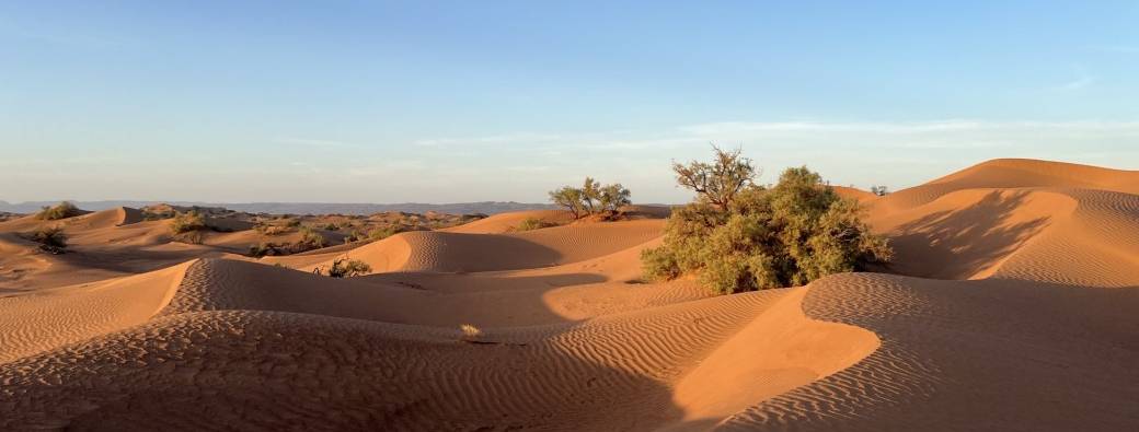 Voyage Initiatique au Maroc avec Cécile Liagre 