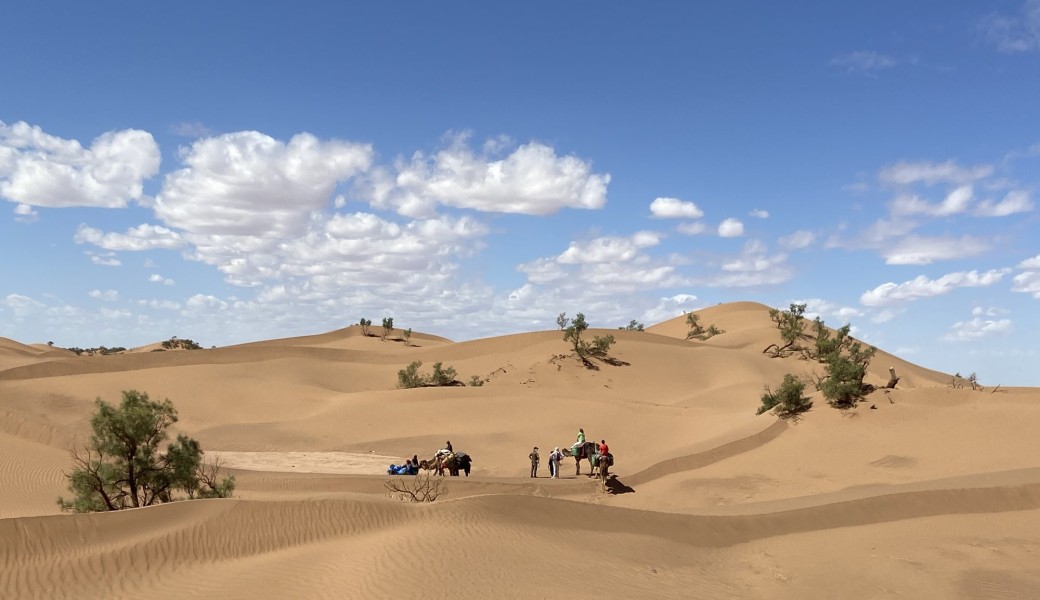 Voyage Initiatique dans le désert  avec Cécile Liagre 
