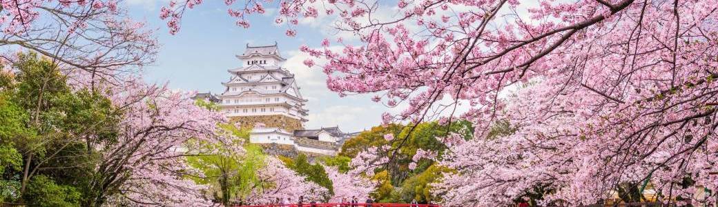 Voyage Japon: cerisiers en fleur, bains thermaux, découverte, gastronomie et plus