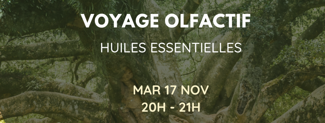  Voyage olfactif