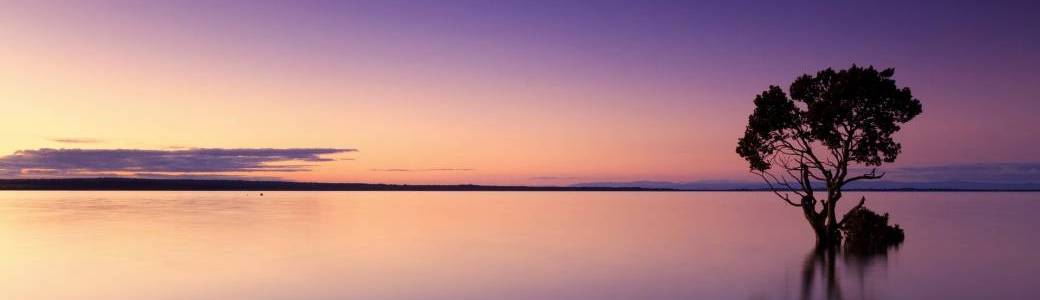 Voyage vers notre sagesse intérieure
