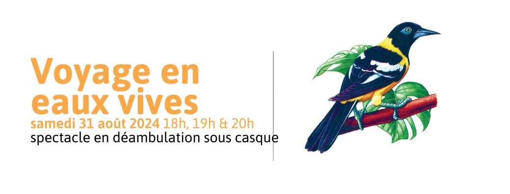 Voyages en eaux vives