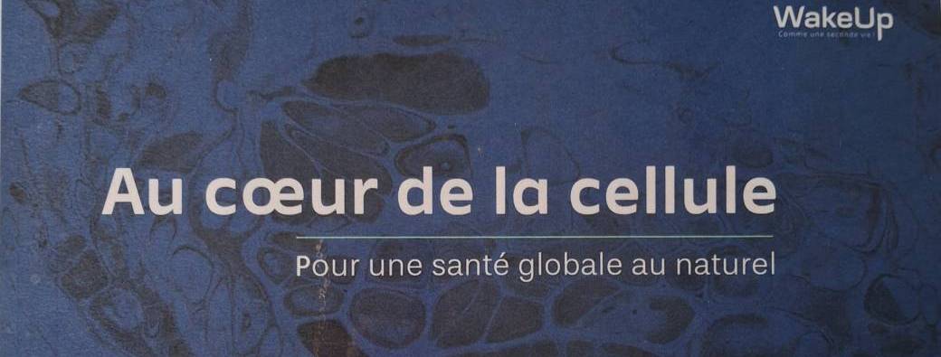 Wake Up Night - Vienne 2026 