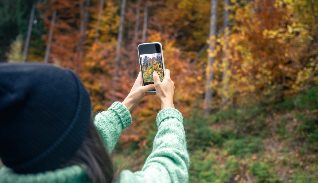 WE du bois - Sortie photo en forêt (pour smartphones)