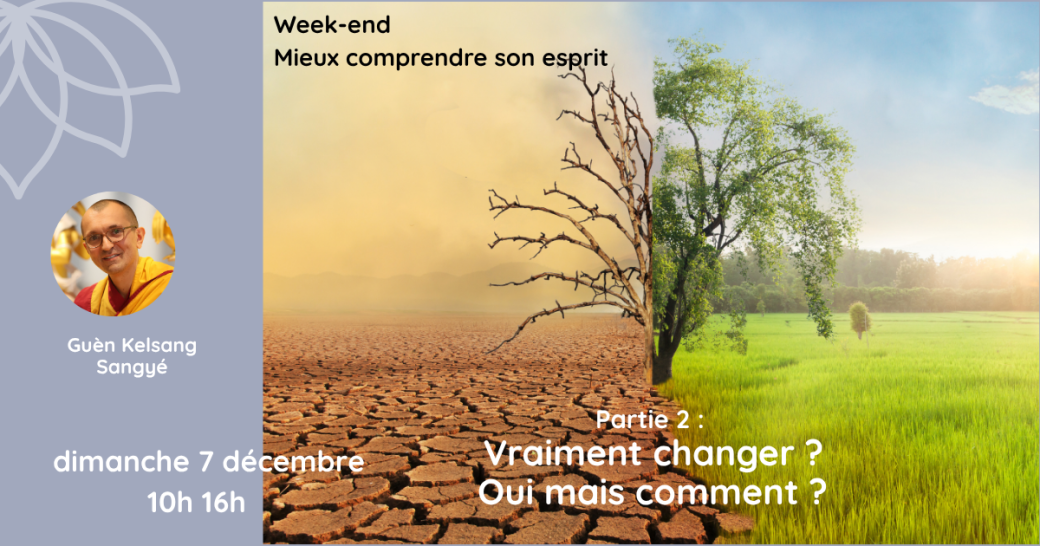 WE thématique (Dimanche) : Mieux comprendre son esprit