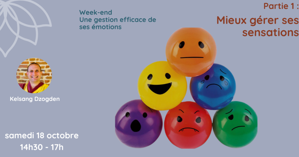 WE thématique (Samedi) : Une gestion efficace de ses émotions