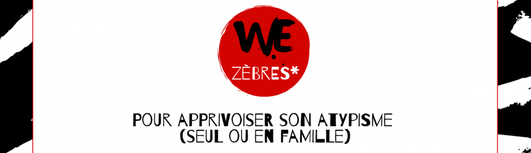 We Zèbres* #2 le 23 novembre à Brive (19)