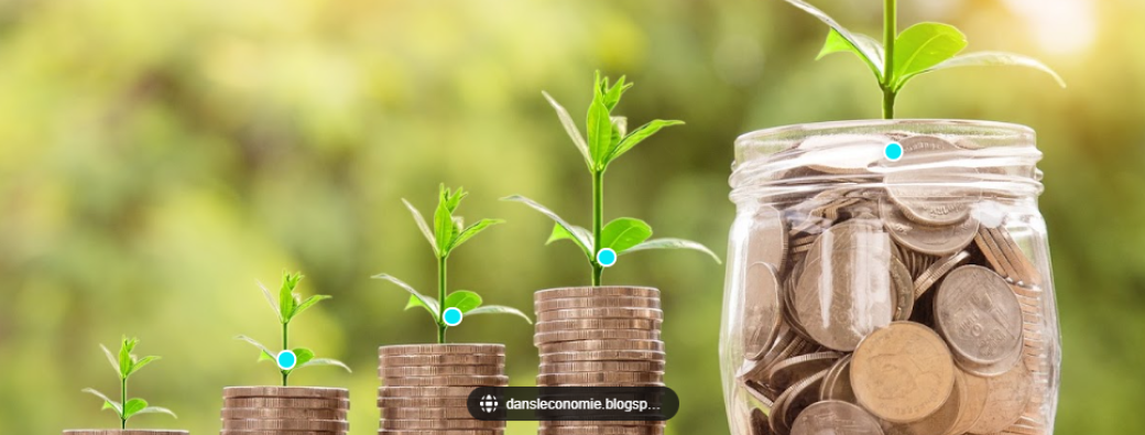 Web conférence capital investissement et optimisation fiscale