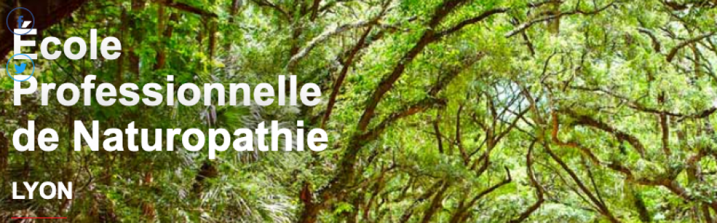 Web-conférence sur les formations de naturopathe