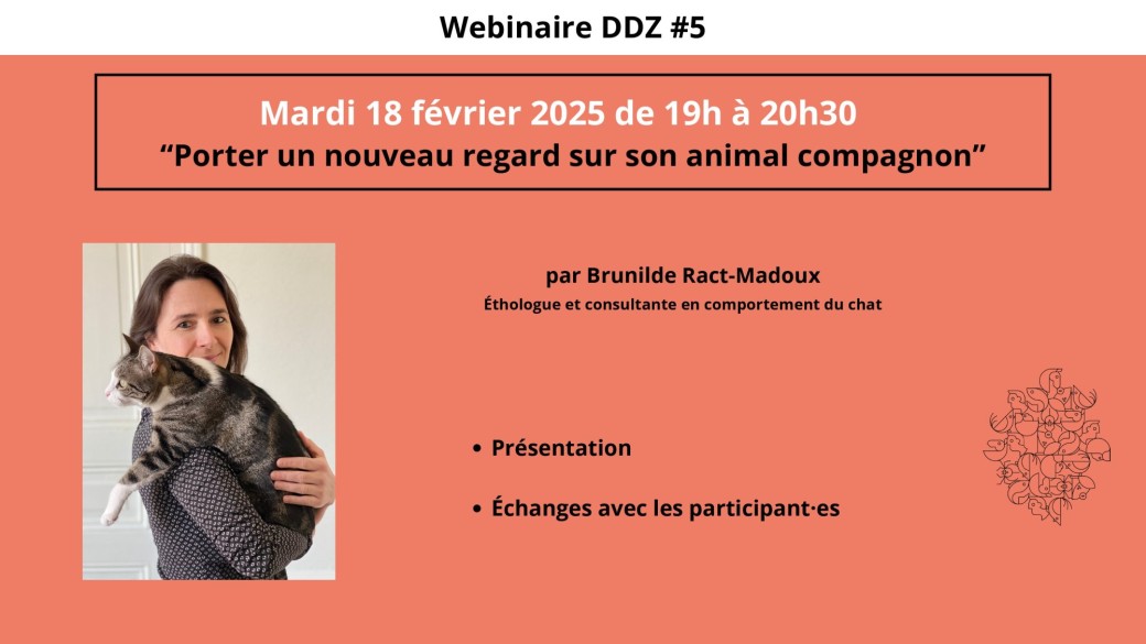 Webinaire DDZ5 "Porter un nouveau regard sur son animal compagnon"