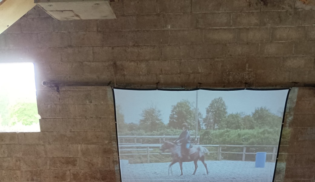 Webinaire de l'HIver du 13 décembre : lecture de ton cheval en direct