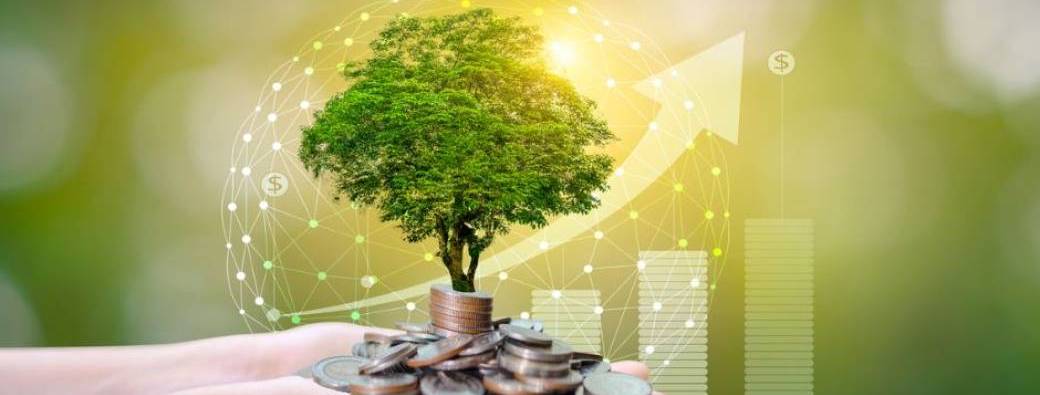 Webinaire : Les solutions de défiscalisation en 2025
