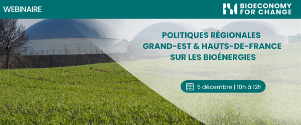 Webinaire Politiques régionales Grand-Est et Hauts-de-France sur les bioénergies