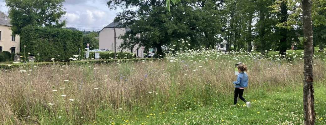 Webinaire - La gestion différenciée et alternatives aux pesticides - phytolicence