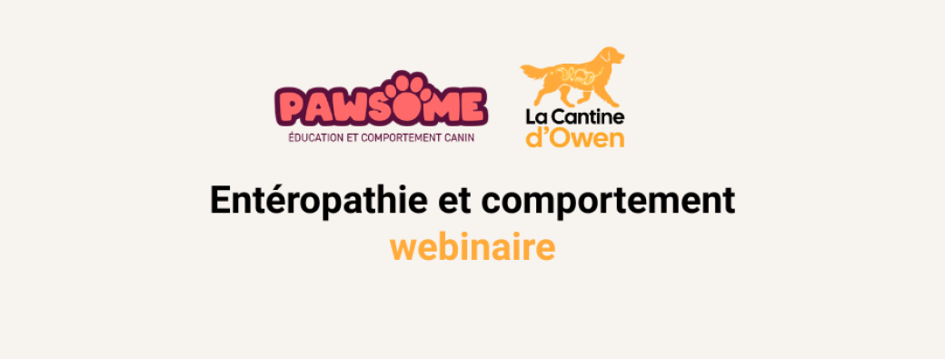 Webinaire 