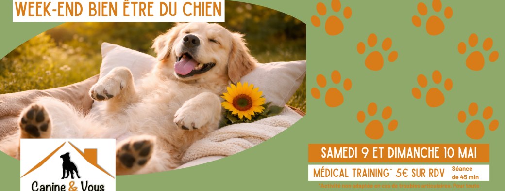 WEEK-END BIEN ÊTRE DU CHIEN médical training