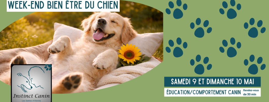 WEEK-END BIEN ÊTRE DU CHIEN comportement/éducation canine