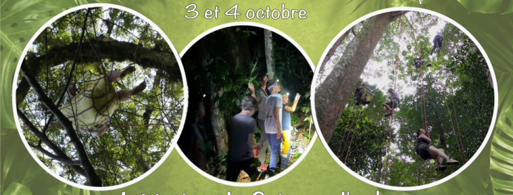 Week-end branché au Camp Bonaventure 26