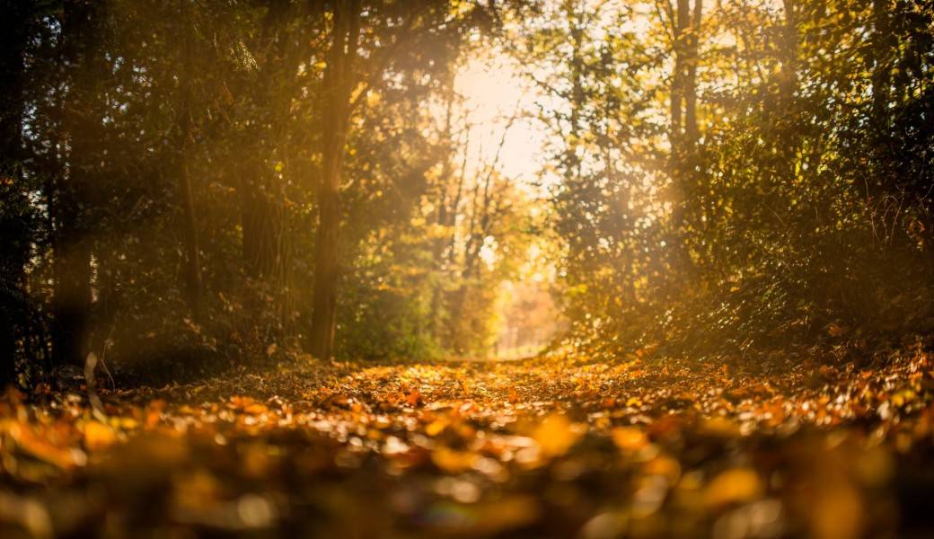 Week-end Cercle d'Automne