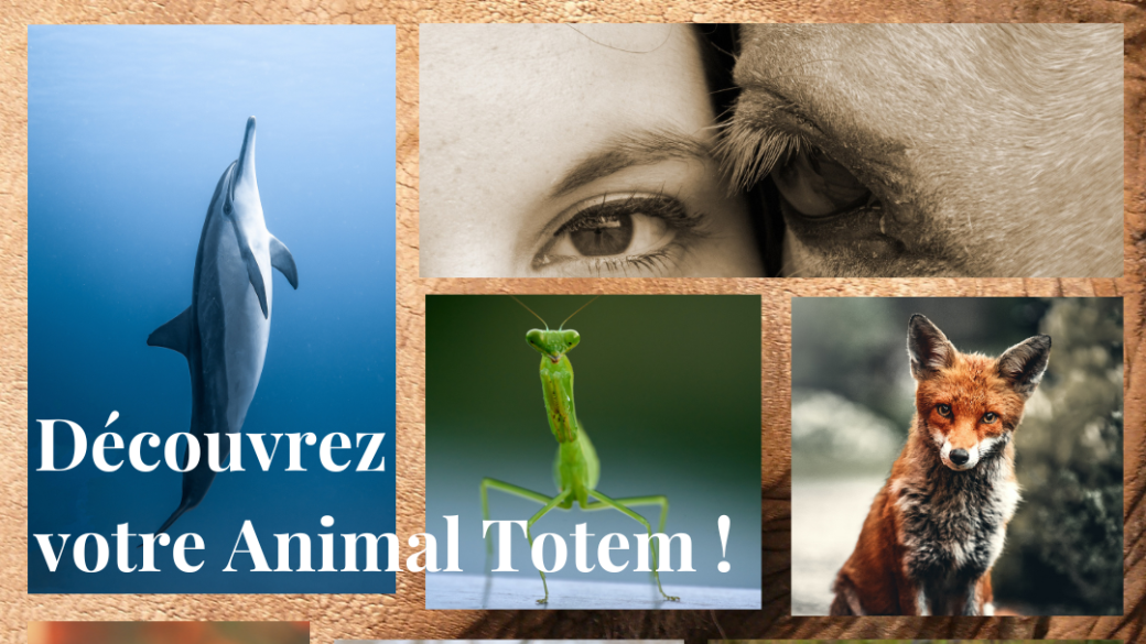 Journée Animal Totem