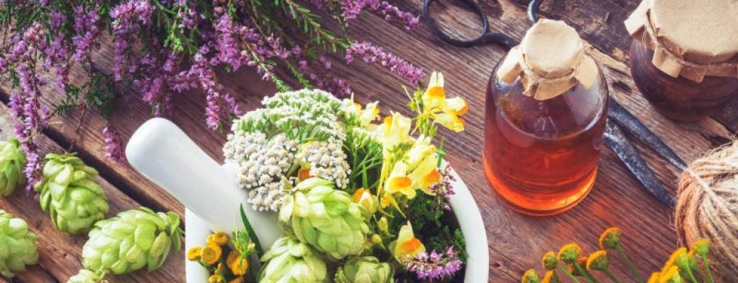 Week-end initiation à l'herboristerie Week-end initiation à l'herboristerie